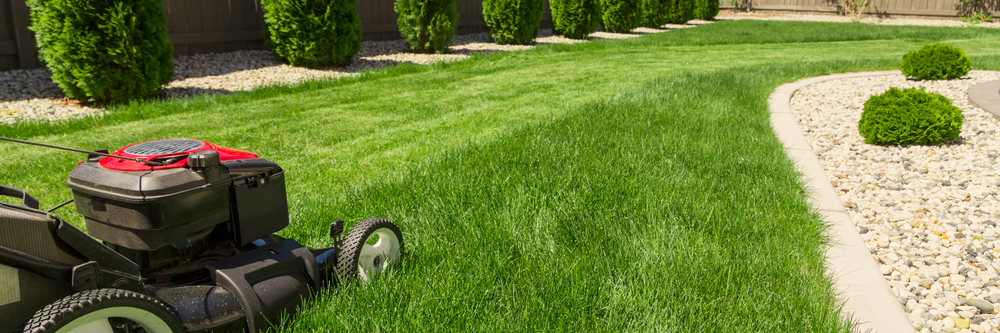 gras maaien, gazononderhoud, tuin onderhoud 