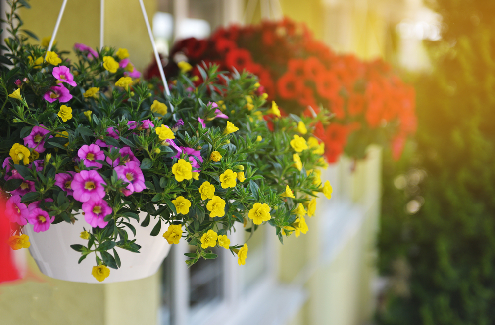 Moederdagcadeau | hanging baskets | tuincentrum Gistel | Luyckx