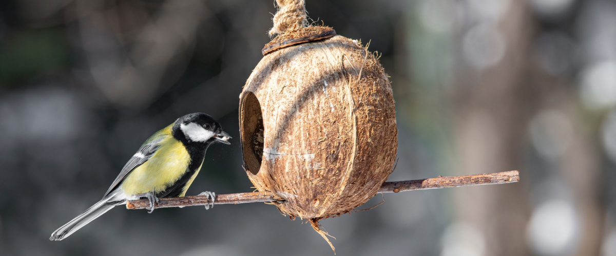 Help dieren de winter door - Luyckx