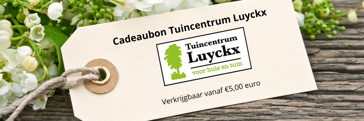 Cadeaubon Tuincentrum Luyckx 