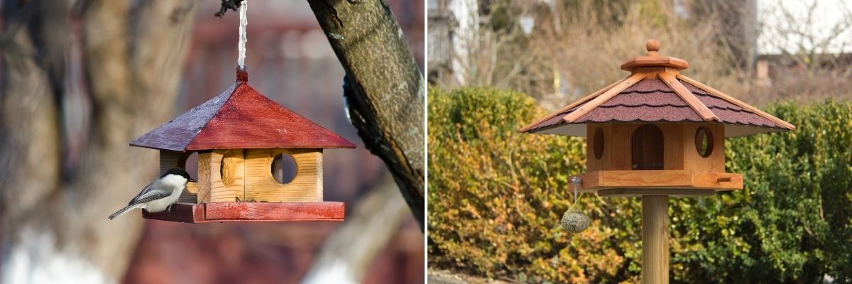 Het Grote Vogelweekend - Luyckx