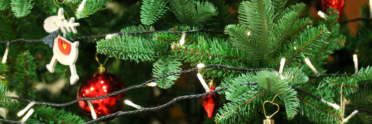 Kerstverlichting - Luyckx