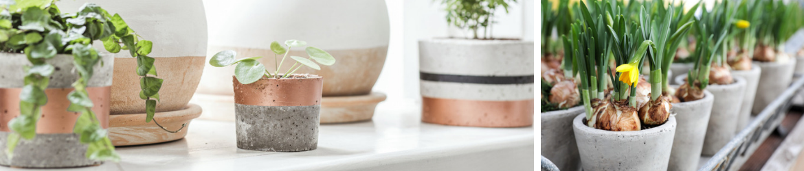 keramiek-kopen-bloempot-luyckx-tuincentrum