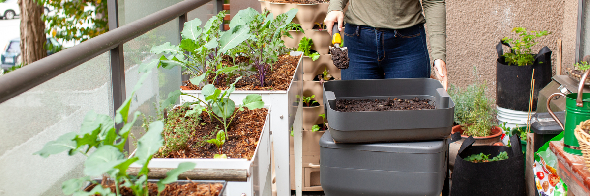 Moestuin op balkon - Tuincentrum Luyckx