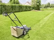 Gazononderhoud Gazononderhoud