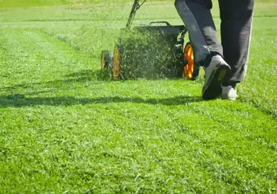 Gazononderhoud: grasmaaisel laten liggen of niet?